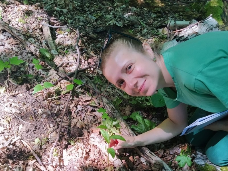 На Київщині виявили віковий ліс, де не ступала нога людини і ростуть унікальні орхідеї