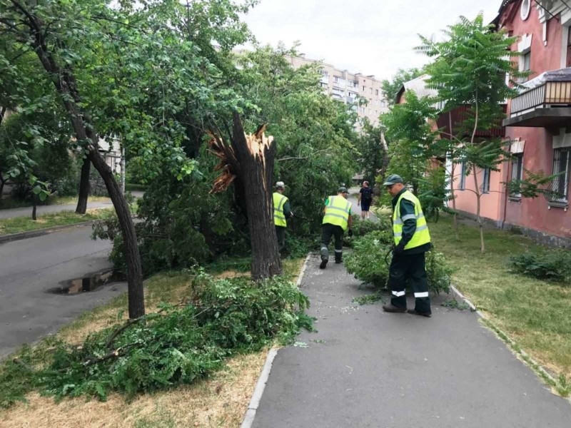 Негода у Києві пошкодила біля сотні дерев