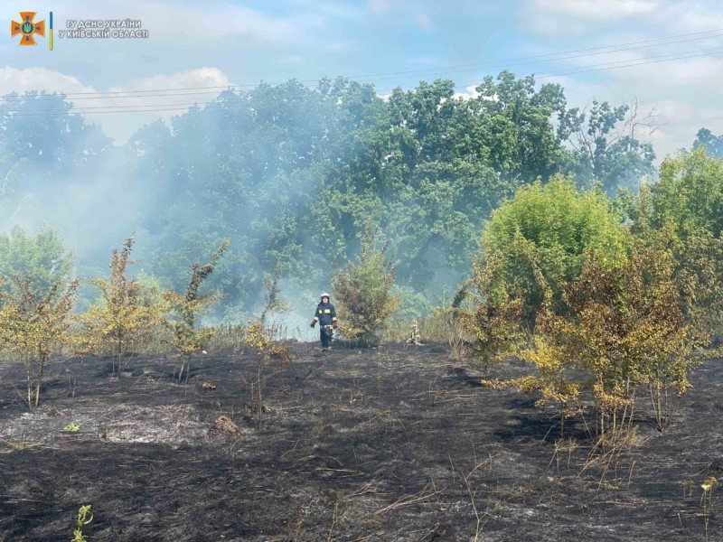 Ситуація з пожежами в екосистемах Київщини набуває загрозливого характеру – ДСНС