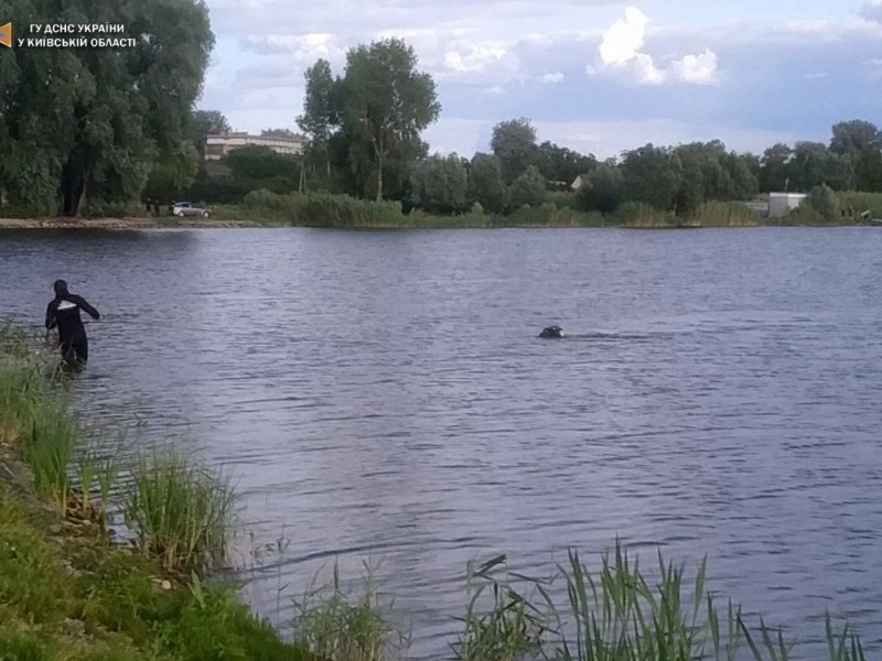 Трагедія на Київщині: під час купання в озері загинув підліток