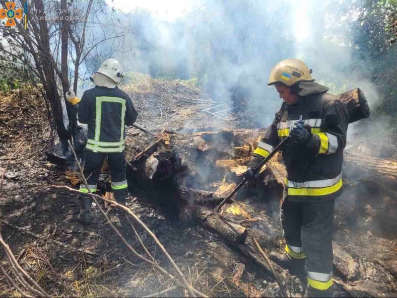 Рятувальники ліквідували дві пожежі в природних екосистемах Київщини (ФОТО)