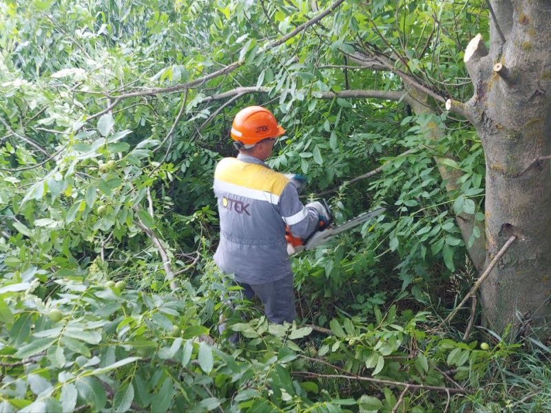 ДТЕК на Київщині поновила обрізку чагарників та гілля дерев