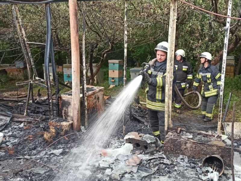 В Бучанському районі врятували від вогню 14 вуликів