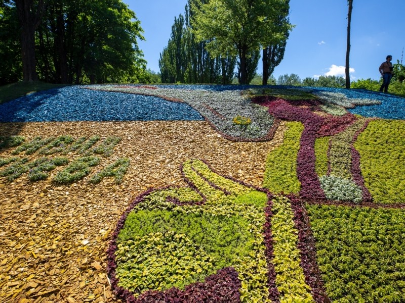 Інсталяція з квітів “Привид Києва” потрапила до реєстру рекордів