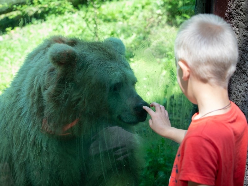 У київському зоопарку відзначили День захисту дітей (ФОТО)