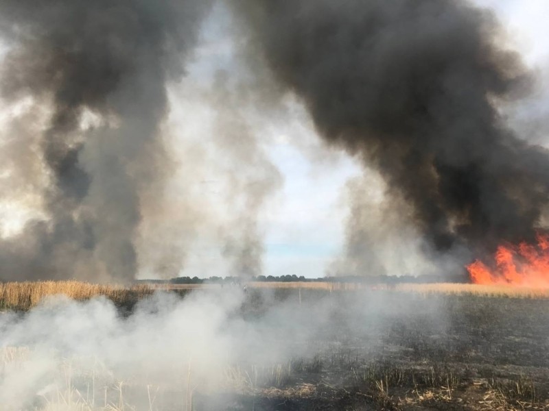 На Київщині під Фастовом спалахнула масштабна пожежа