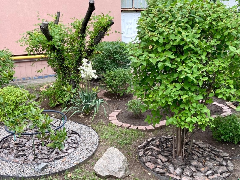 Киянка перетворила територію біля свого будинку на розкішний міні-сад – фото