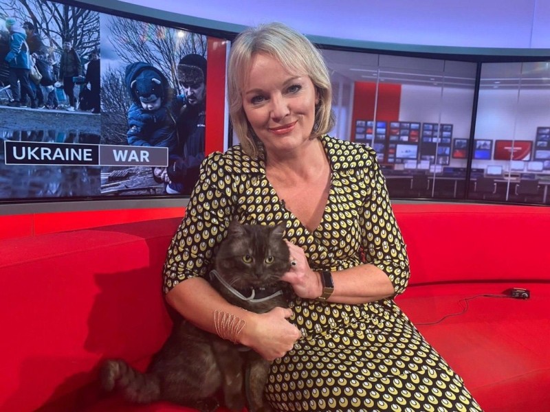 “Тепер його звати Рокет” – котика з Київщини врятувала журналістка BBC