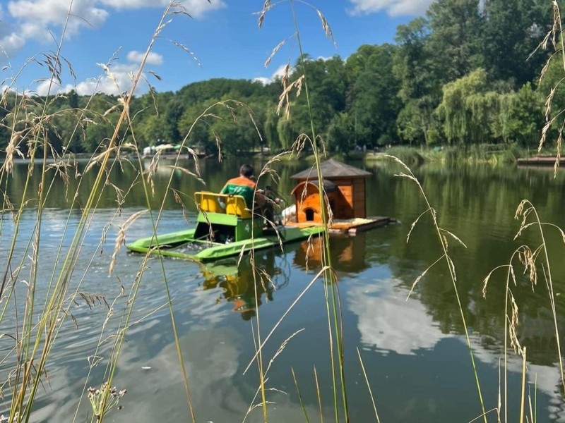 На озері у Голосіївському парку з’явився качиний будиночок
