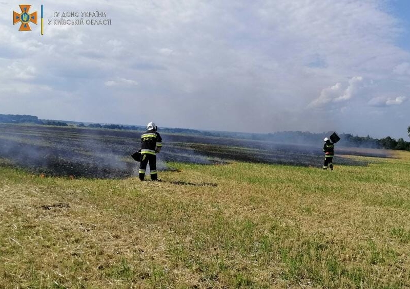 На Київщині виникло кілька загорянь в полях: причини пожеж встановлюються