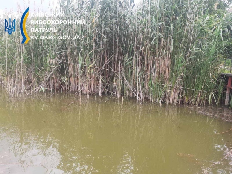 На Київщині зафіксували різкий спад води у річках Рось та Кам’янка