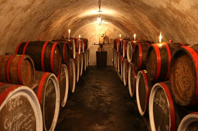 На Київщині планують створити виноробню