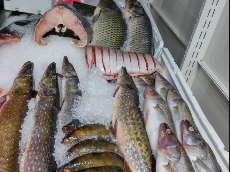 На “Столичному ринку” викрили незаконний збут риби