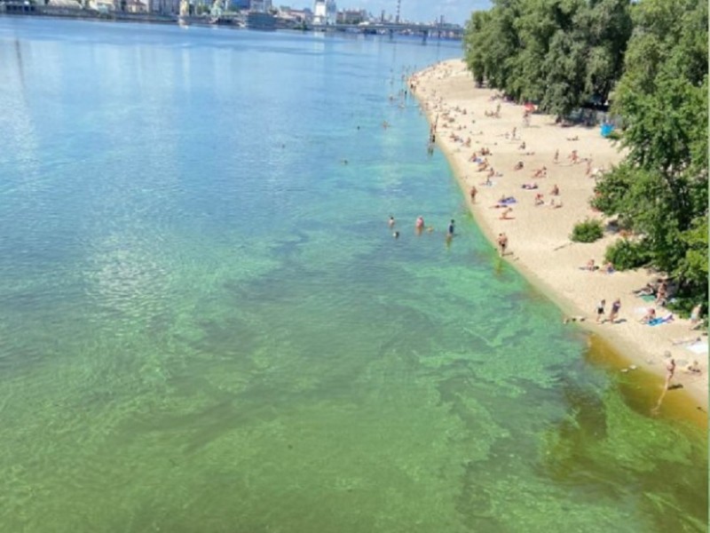 У Києві річка Дніпро знову позеленіла
