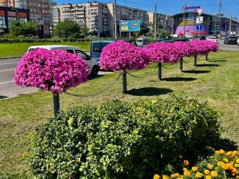 У Києві з початку року висадили тисячі дерев і кущів та мільйони квітів