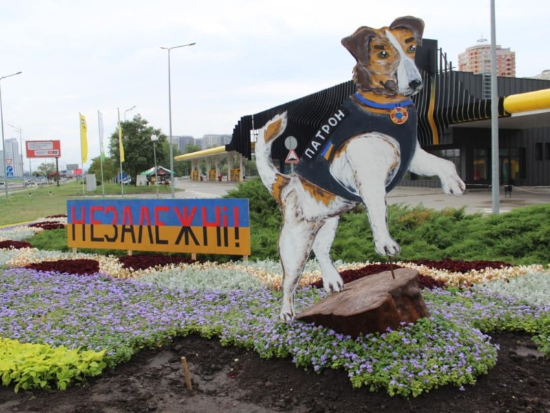 До Дня Незалежності у Києві створюють 10 патріотичних композицій з квіток