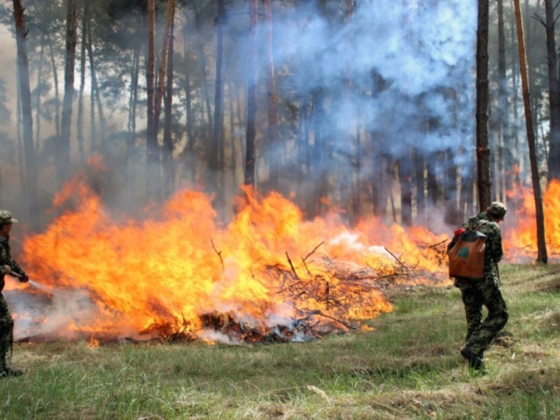 У Києві найближчими днями буде надзвичайно високий ризик пожеж