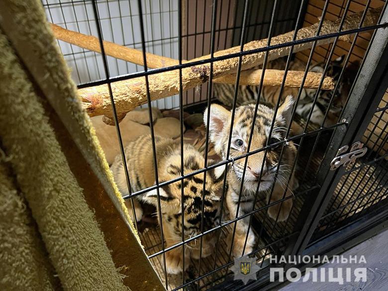 У Києві викрили торговців екзотичними тваринами