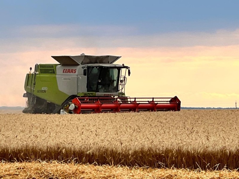 На Київщини аграрії намолотили вже понад 700 тисяч тонн зернових