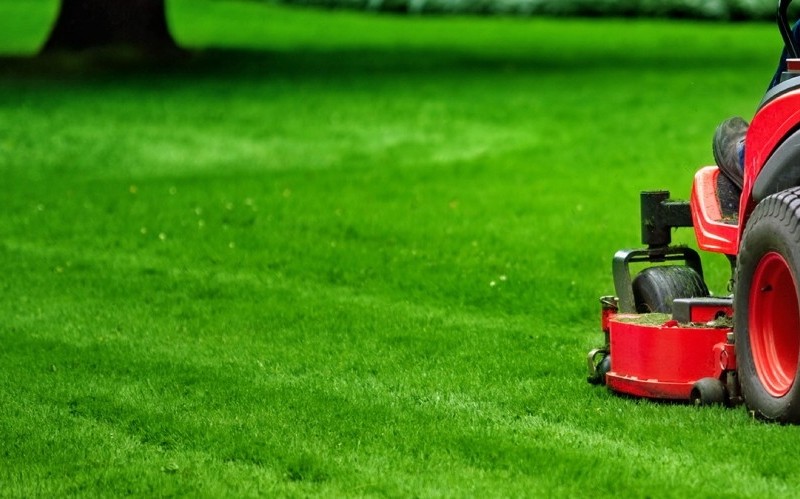 “Київзеленбуд” пояснив, як треба косити траву біля будинків і доріг