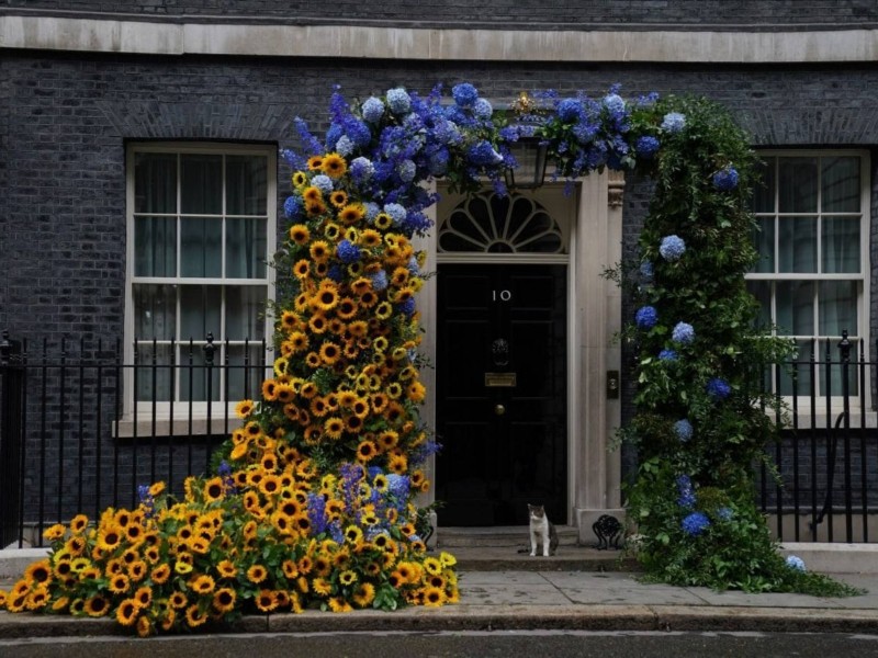 Неймовірна краса: вхід у резиденцію прем’єр-міністра Великобританії прикрасили синьо-жовтими квітами (ФОТО)
