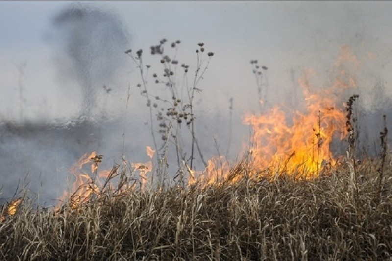 Киянам рекомендують зачинити вікна через загоряння торфу на Київщині