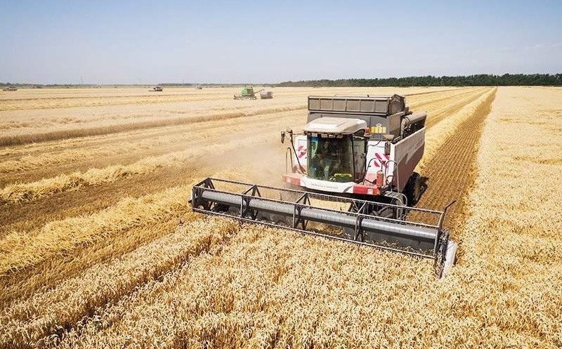 На Київщині фермери мають на 30-40% менший урожай за минулорічний