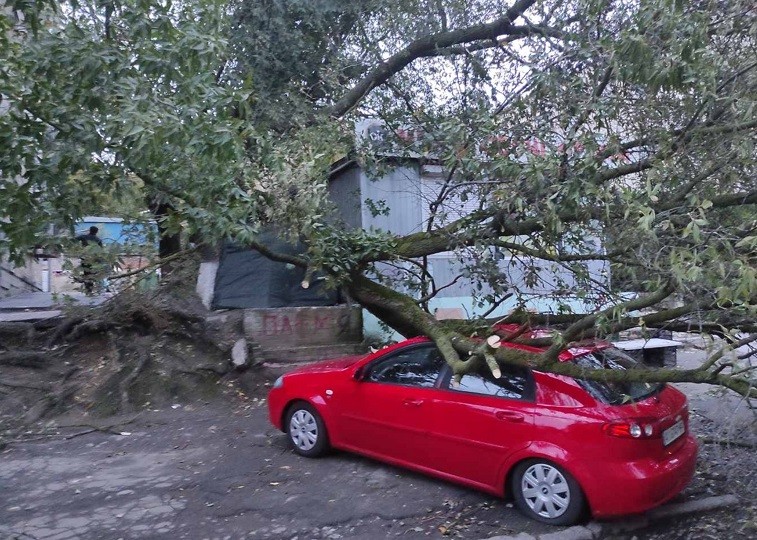 Негода залишила в Києві повалені дерева та пошкоджені автівки (ФОТО)