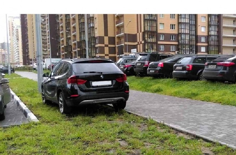 Киянин створив петицію через “хаотичне паркування на газонах”: що пропонує