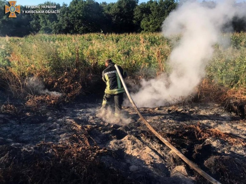На Київщині рятувальники продовжують ліквідувати два осередки загорання торфовищ