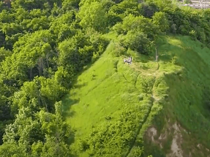 Київська влада знищує ландшафтний парк “Урочище Лиса гора” – журналіст