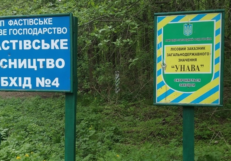 Столичні екологи заявили про перемогу над рейдерами на Київщині: подробиці