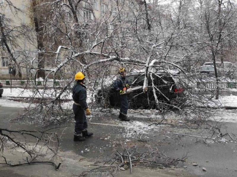 Крижаний дощ повалив чи пошкодив понад 200 дерев у Києві – наслідки негоди ще прибирають