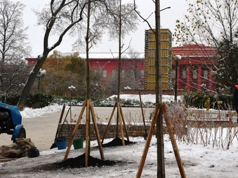 Замість знищених ракетами дерев у парку Шевченка висадили нові