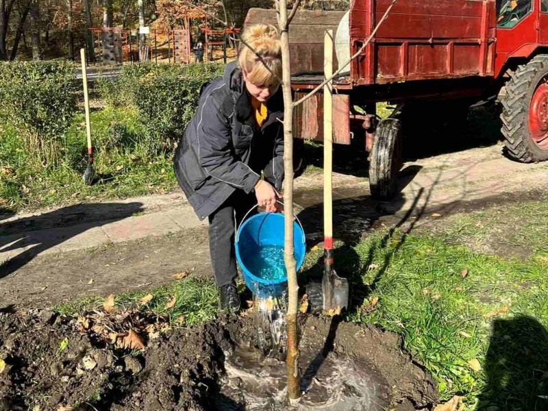 Зелене поповнення столиці: у Голосіївському парку висадили молоді дуби й магнолії