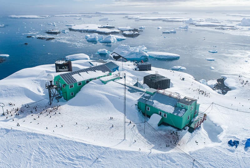 Новий рекорд біля “Вернадського”: снігу насипало 3,5 м, пінгвіни гуляють дахом