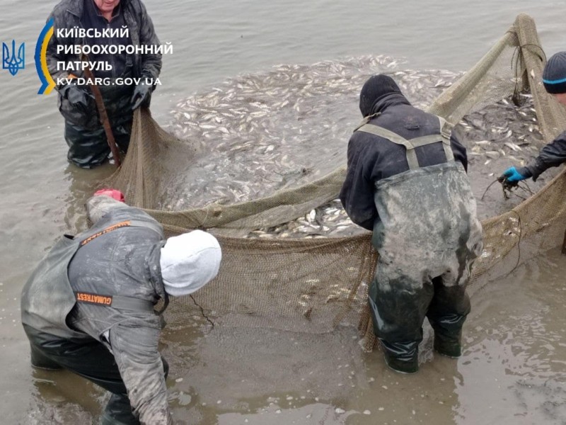 Підготовка до мирного життя: у водосховище на Київщині випустили 69 тисяч екземплярів риби