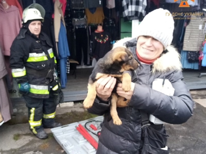 На Київщині врятували собаку, який застряг під металевим контейнером