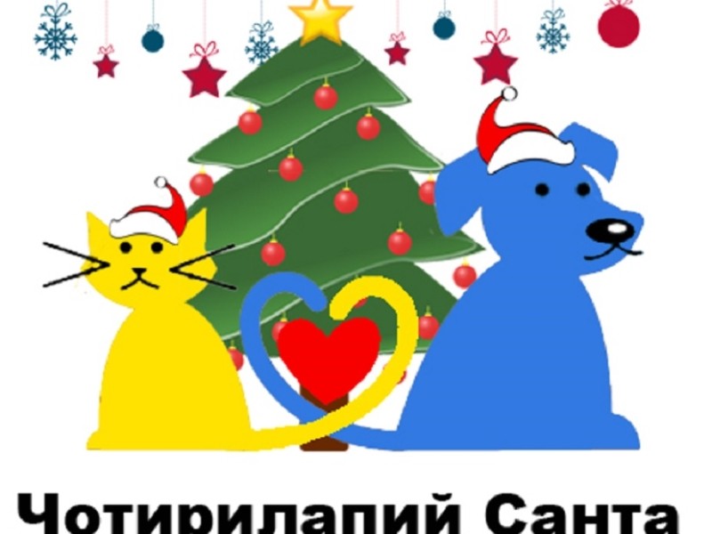 В Україні запускають благодійний проєкт для малозабезпечених власників тварин