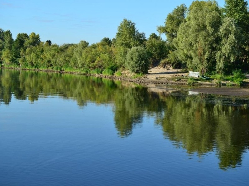 Державі повернуто земельні ділянки біля річки Десна вартістю понад  29 млн грн