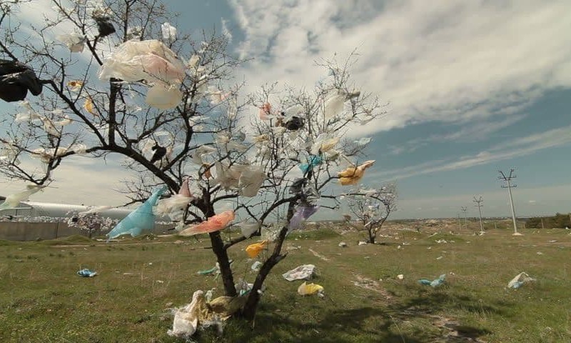 В Україні остаточно заборонені пластикові пакети – що потрібно знати
