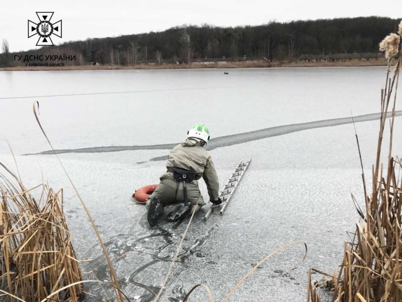 Крихкий лід і оленятко серед озера: на Київщині відбулась незвичайна рятувальна операція