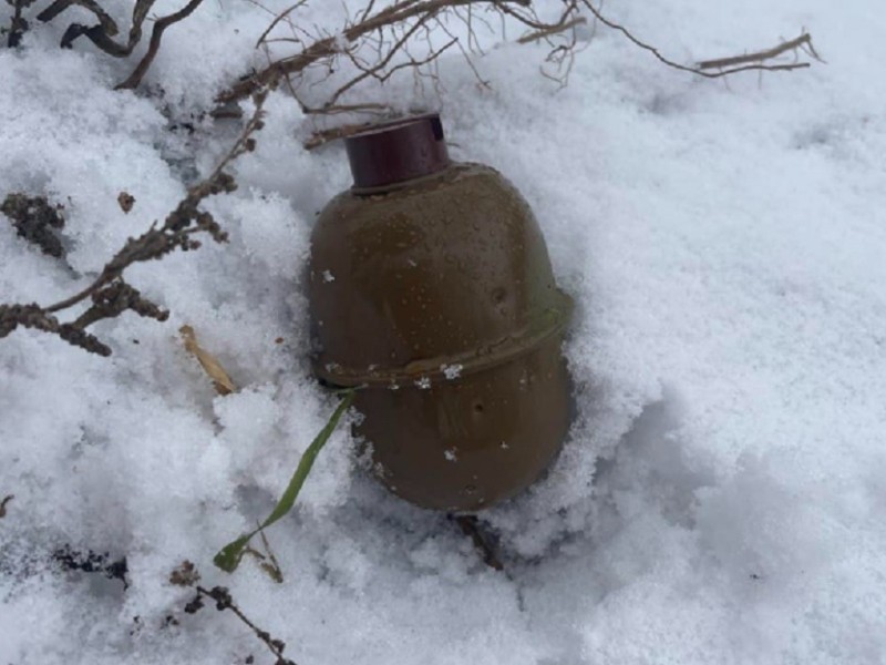 У селі Нові Петрівці знайшли гранату
