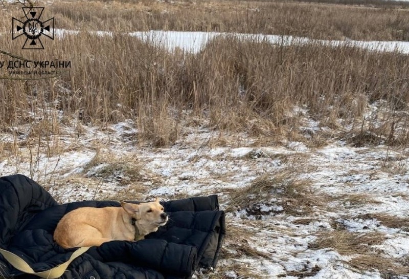 На Київщині чоловік провалився під лід і загинув