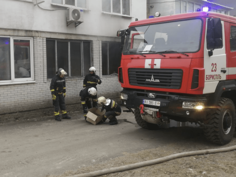 Чотирьох цуценят врятували під час пожежі у Борисполі (ФОТО)