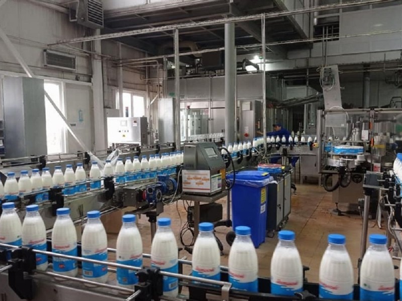 Відсутність електрики призведе до зростання цін на молочку до 6%