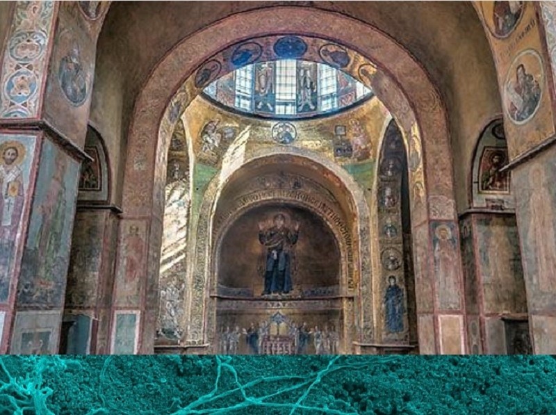 Науковці дослідили мікробні пошкодження фресок Софії Київської, щоб зберегти пам’ятку