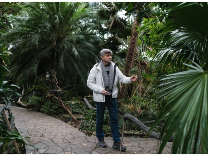 Квітнуть азалії та камелії: київський ботанічний сад критично залежить від купівлі квитків