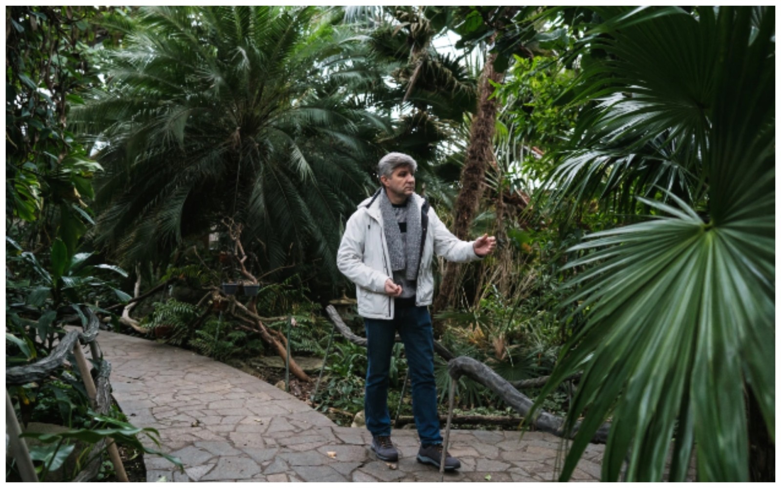 Квітнуть азалії та камелії: київський ботанічний сад критично залежить від купівлі квитків