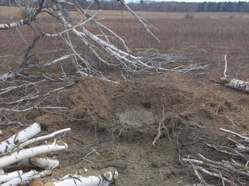 На Київщині підірвався на вибухівці чоловік, що зрізав дерево